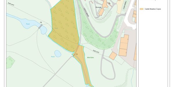 Castle Meadows Copse Map