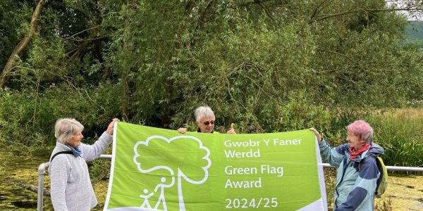 Green Flag